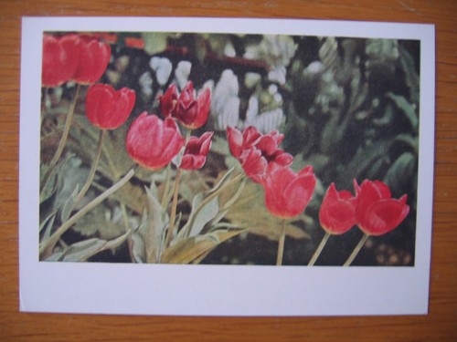 Postal stationery - -,