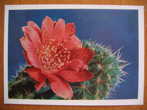 Postal stationery - -,